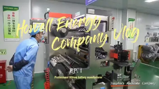 Long Life Cycle Solar Energy Storage LiFePO4 Battery Pack 12.8V 20ah Battery with BMS to Replace SLA Battery for Golf Cart/Marine/Yacht/RV/Camper/UPS/Telecom