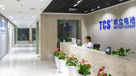 Tcs High CCA 57513mf 74ah 660CCA SLA Replacement Battery Non Maintenance Free Battery for DIN/European Starting Vehicles or Engines 