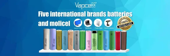 Original Taiwan Molicel Inr 21700 4200mAh P42A 30A Lithium Battery 3.7V Rechargeable 21700 Battery for Lights Lighting 