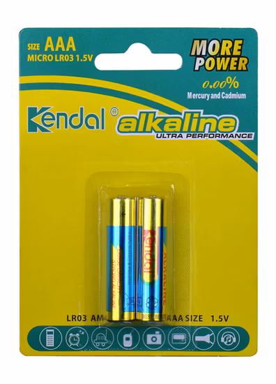 1.5V AAA Alkaline Batteries Suitable for Toy Remote Control Mouse Clock Electronics